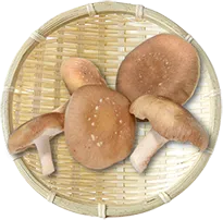 食材02