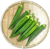食材04